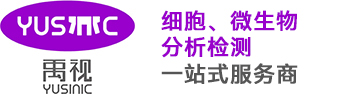 禹视科技